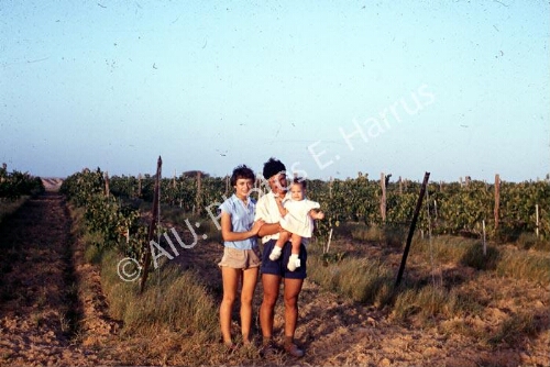Vidal Harrosh, ancien (dans les premiers) de l'école agricole avec sa femme et sa fille à Tsé'helim.